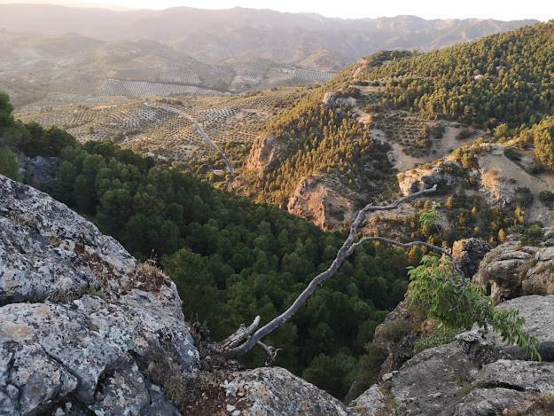 Willa Vista Mora Sierra Cazorla La Iruela Zewnętrze zdjęcie